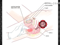 French instructional : how to stimulate her internal organs in return